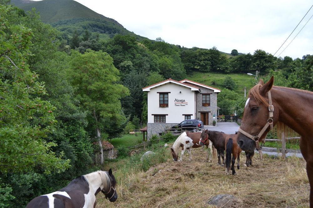 Alesga Hotel Rural - Valles Del Oso -Asturias San Salvador  外观 照片