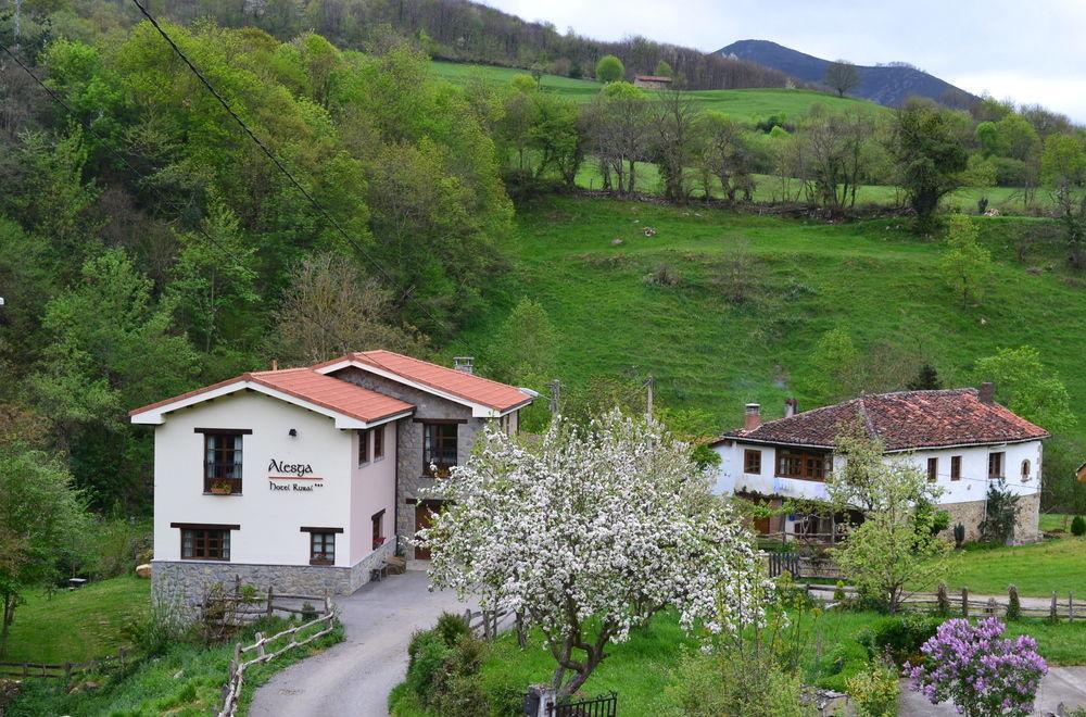 Alesga Hotel Rural - Valles Del Oso -Asturias San Salvador  外观 照片