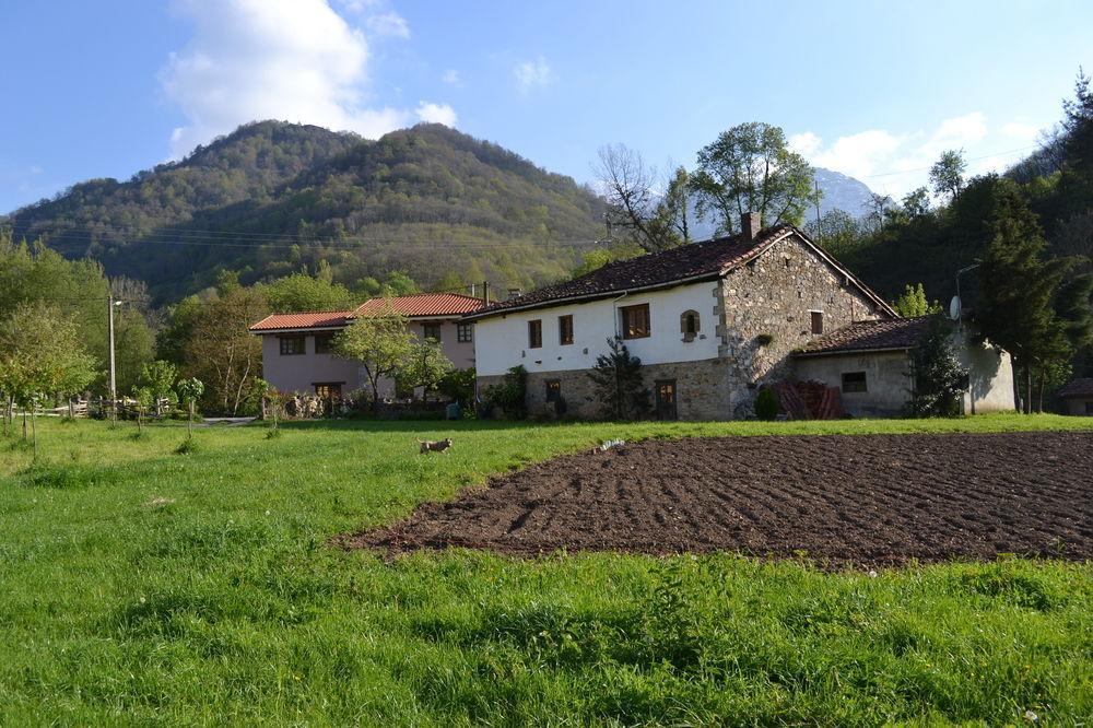 Alesga Hotel Rural - Valles Del Oso -Asturias San Salvador  外观 照片