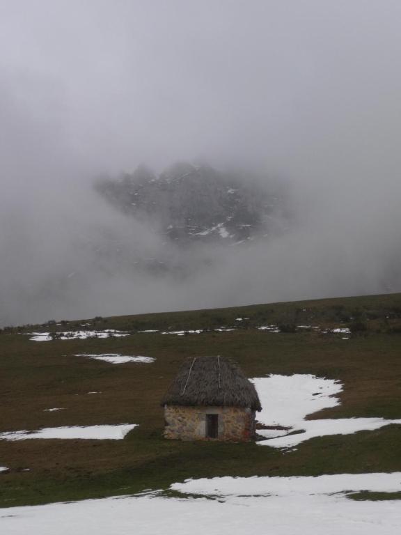 Alesga Hotel Rural - Valles Del Oso -Asturias San Salvador  外观 照片