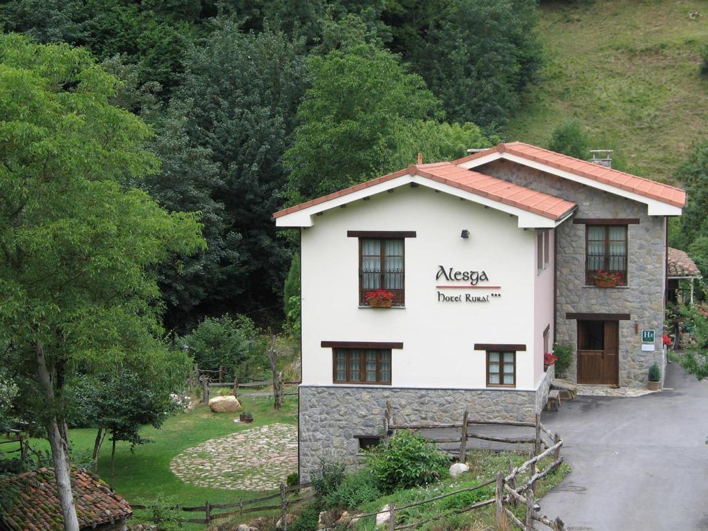 Alesga Hotel Rural - Valles Del Oso -Asturias San Salvador  外观 照片