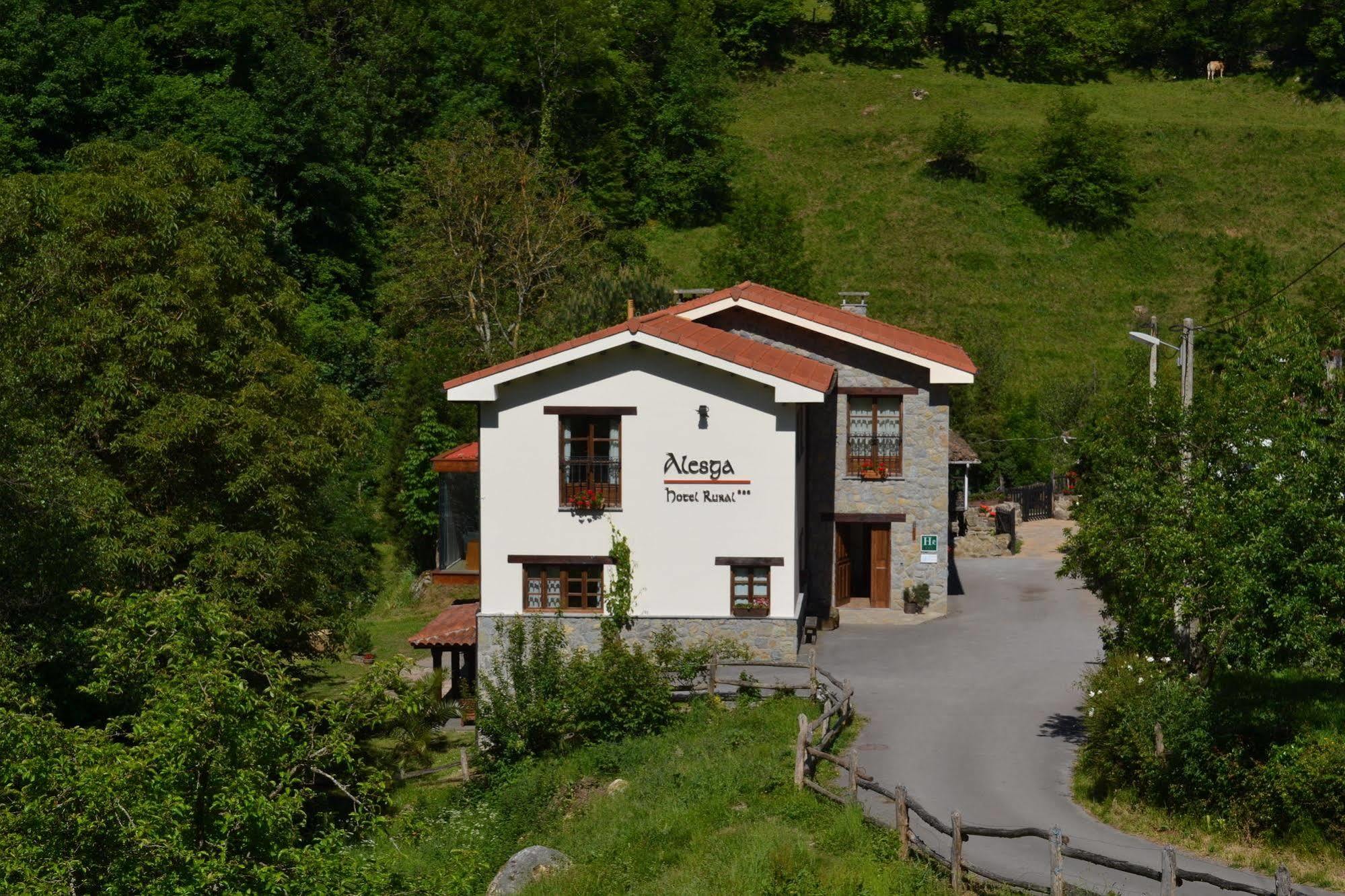 Alesga Hotel Rural - Valles Del Oso -Asturias San Salvador  外观 照片