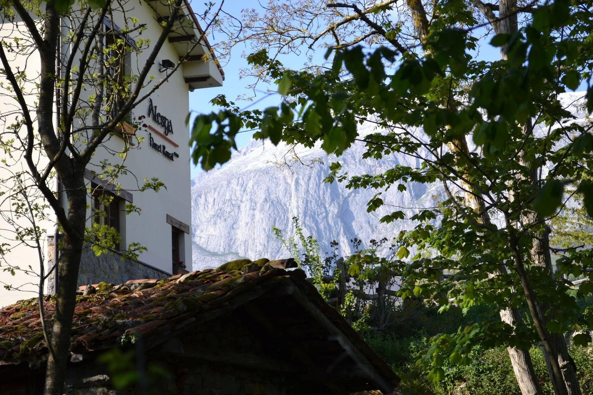 Alesga Hotel Rural - Valles Del Oso -Asturias San Salvador  外观 照片